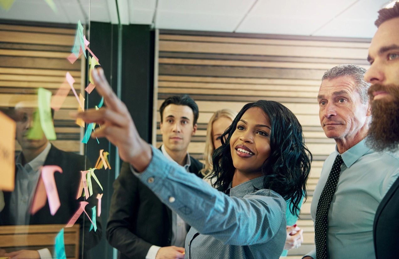 Understanding Project & Program Management